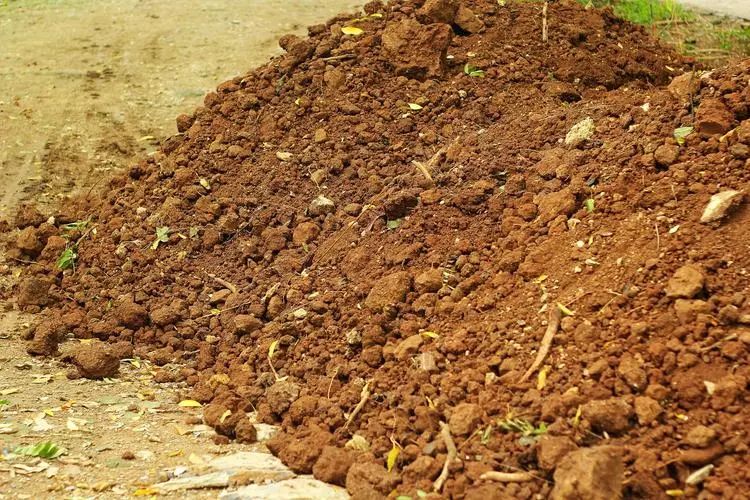 1745896609802778.jpg ab1c7865efedd6e639685c8d5e8d5e66.jpg